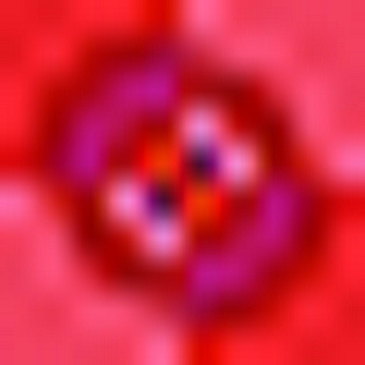 Label image background
