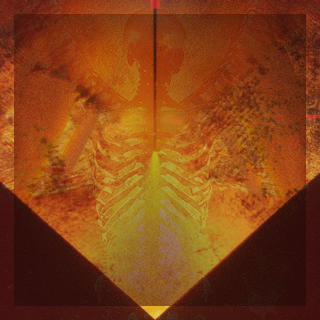 Label image background