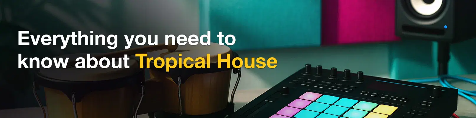 House of Tracks blog banner for Everything you need to know about Tropical House.